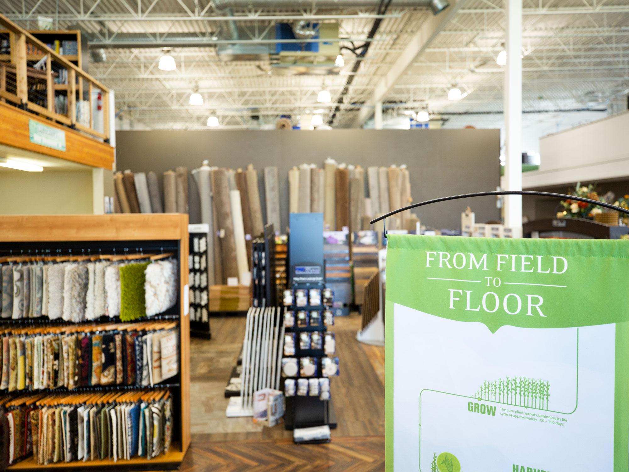 Professional Local Interior Design Services of Minnesota