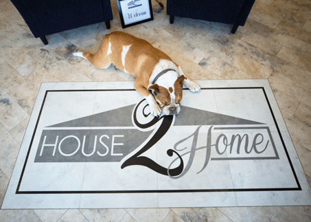 What Rug Backing is Safe for Vinyl Plank Flooring: Expert Guide